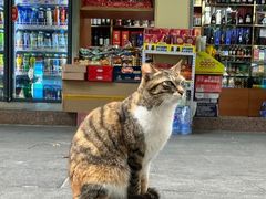 -香港新发烧腊茶餐厅(书城店)