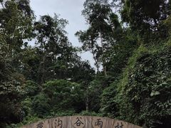 -西双版纳原始森林公园