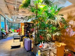 -大视光学•LINDBERG林德伯格•全球手工眼镜集合店(王府井店)