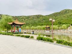 -五龙城郊森林公园
