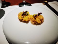 -觀芷隐轩