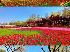 -静安雕塑公园