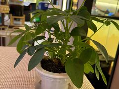 -小菜园新徽菜(上海浦东复地活力城店)
