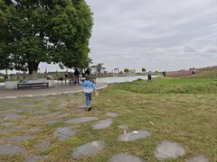 -空港花田景区