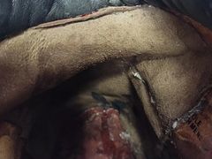 -京伟修鞋洗鞋奢侈品皮具护理店