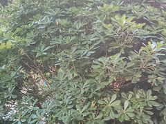 -楠柏弯休闲山庄(梨花溪店)