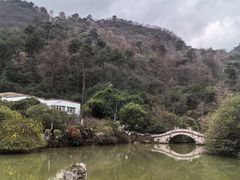 -黔灵山公园