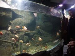 -苏州海洋馆