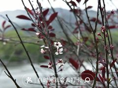-国家植物园