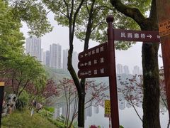 -重庆彩云湖湿地公园
