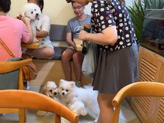 -小意思咖啡店(草桥店)