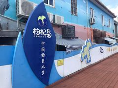-枸杞岛