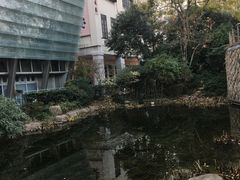 -活水公园