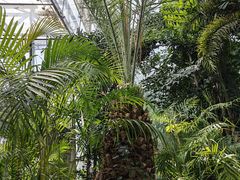 -北京植物园-展览温室