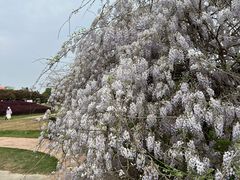-武汉紫薇都市田园