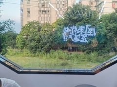 -园里前·10年私厨·福建菜(台江万达鳌峰洲店)