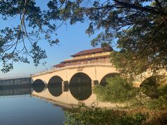 -大湾区中央湿地公园