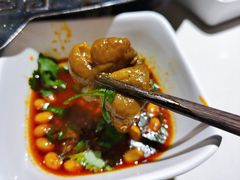 特色肥肠-烧哥美蛙肥肠鱼火锅·十五年社区店