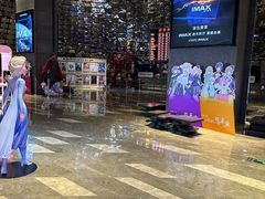-武商摩尔影城(国广IMAX激光店)