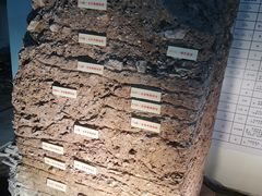 -南越王博物院(王宫展区)