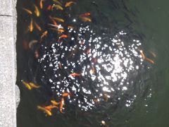 -临沂动植物园