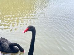 -宁波杭州湾国家湿地公园