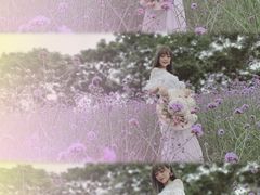 -大塘金香草谷