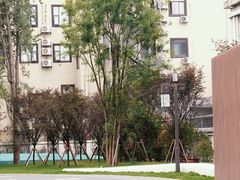 -成都市文化公园