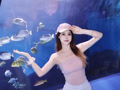 -重庆欢乐海底世界