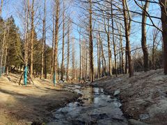-白水寺森林公园