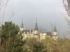 -北京张裕爱斐堡酒庄