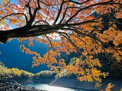 -叠溪松坪沟景区