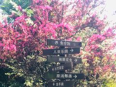-杭州第一世界大酒店·云曼温泉