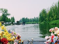 -白洋淀景区