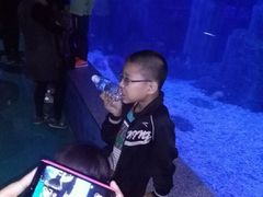 -石家庄极地海洋世界