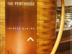 -广州富力君悦大酒店空中花园