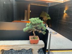 -觀芷隐轩