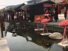 -茯茶镇