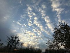 -汉长安城未央宫国家考古遗址公园