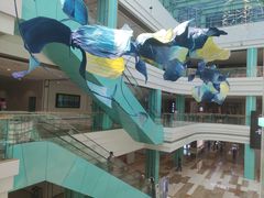 -大族广场Mall&More