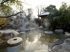 -西安国际创新人才交流中心•药浴温泉