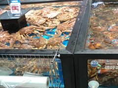 水产区-盒马鲜生(王府广场店)