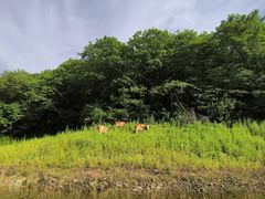 -白山湖仁义风景区