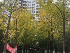 -新湖明珠城