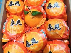 -沈阳市八家子水果批发市场