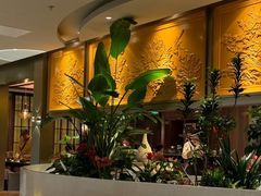 -润园四季椰子鸡火锅(欢乐海岸店)