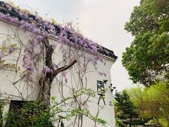 -日出青木·杭帮菜名店