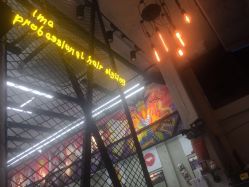 -SALON V