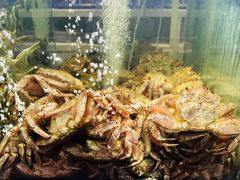 -蟹之国·精品蟹料理(极地店)