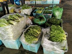 -江杨农产品批发市场